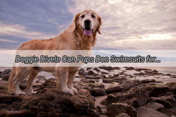 Doggie DiveIn Can Pups Don Swimsuits for Summer Fun